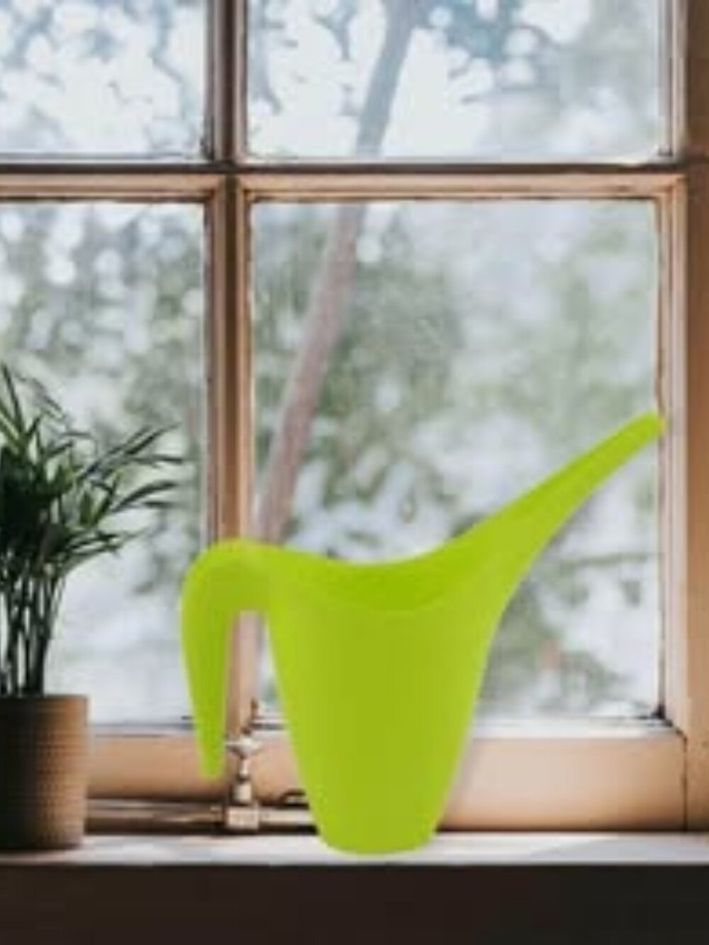 Watering Can for Indoor and outdoor plants - Picture 4 of 5